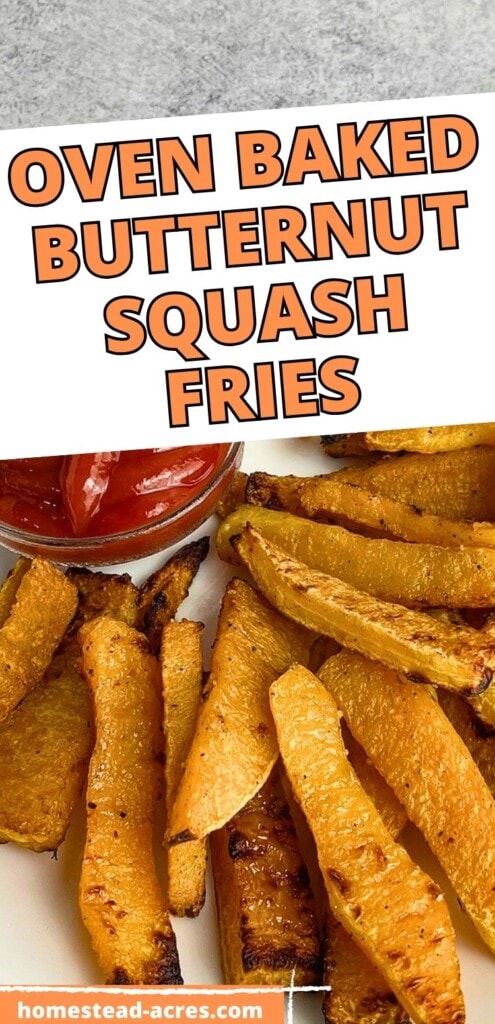 Homemade butternut squash fries on a plate with dip. The text overlay says Oven Baked Butternut Squash Fries.