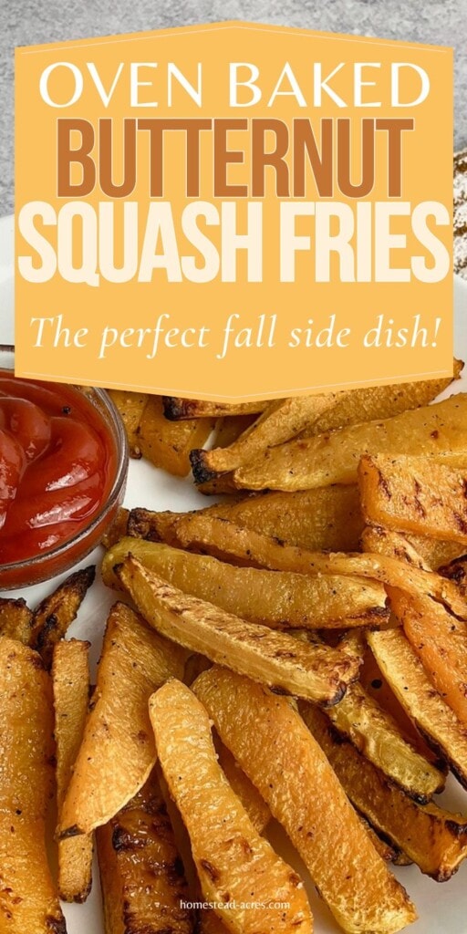 Butternut squash fries on a white plate with a small bowl of ketchup. The text overlay says Oven Baked Butternut Squash Fries. The Perfect Fall Side Dish.