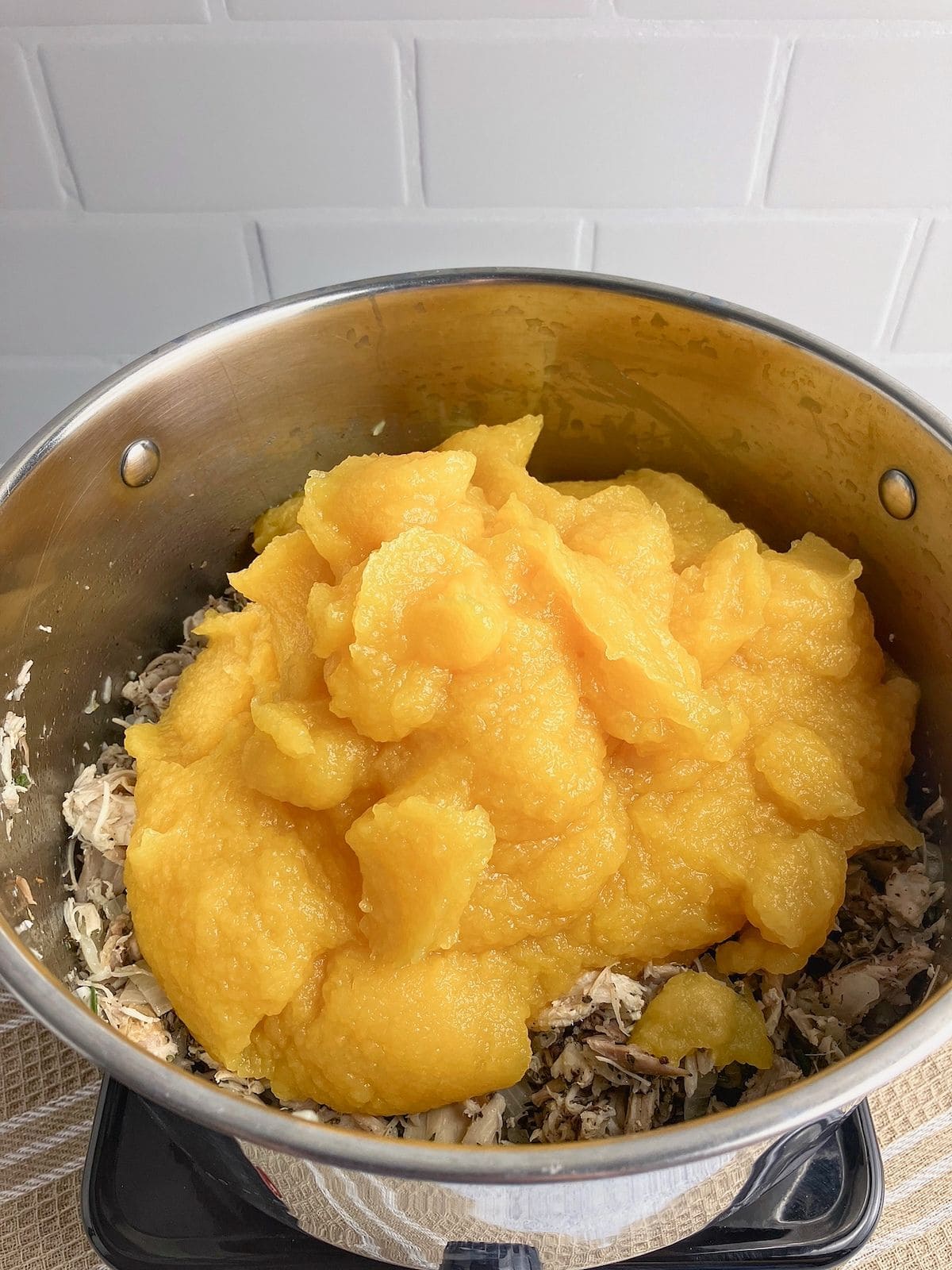 Pumpkin puree was added to the turkey and vegetable mixture.