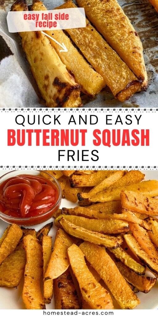 Collage of butternut squash fries on a baking sheet and on a plate with ketchup dip. The text overlay says Quick and Easy Butternut Squash Fries Easy Fall Side Recipe.