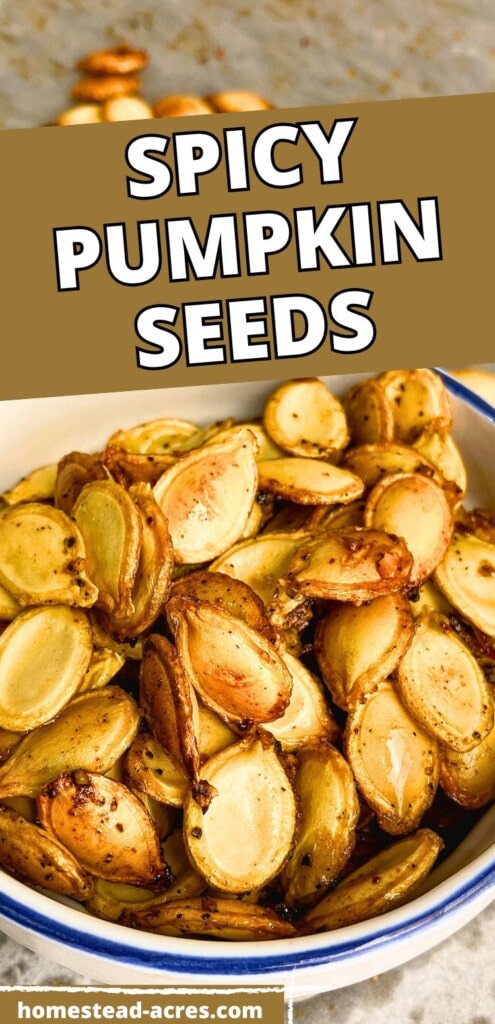 Homemade seasoned pumpkin seeds in a white and blue bowl. The text overlay says Spicy Pumpkin Seeds.