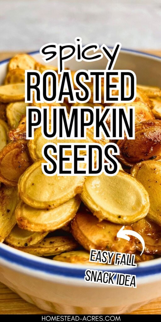 Roasted pumpkin seeds in a white and blue bowl. The text overlay says Spicy Roasted Pumpkin Seeds. Easy Fall Snack Idea.