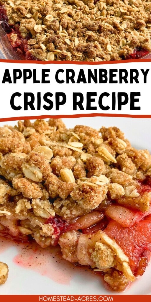 A collage of crisp in a baking dish and a slice on a plate. The text overlay says Apple Cranberry Crisp Recipe.