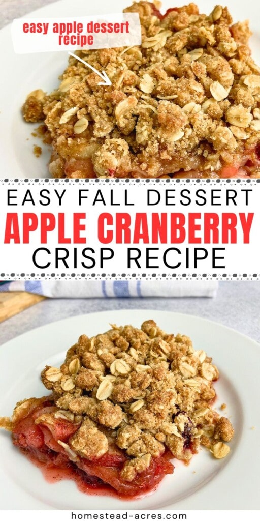 A collage of homemade crisp slices on white plates. The text overlay says Easy Fall Dessert Apple Cranberry Crisp Recipe. Easy Apple Dessert Recipe.