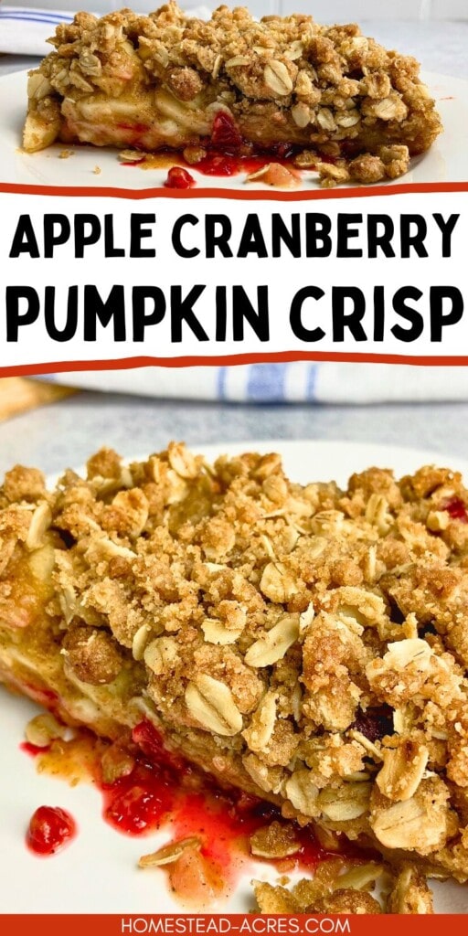 A collage of slices of homemade crisp dessert. The text overlay says Apple Cranberry Pumpkin Crisp.
