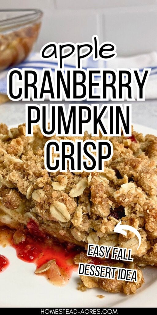 A slice of homemade crisp on a plate. The text overlay says Apple Cranberry Pumpkin Crisp. Easy Fall Dessert Idea.