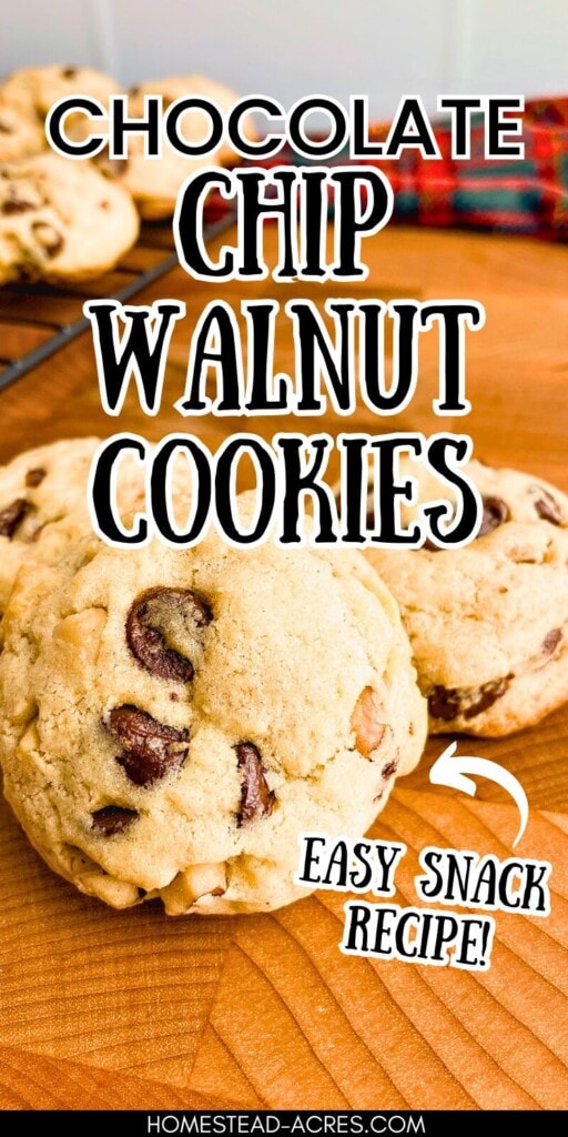 Homemade chocolate chip cookies on a wooden table next to a cooling rack of cookies. The text overlay says Chocolate Chip Walnut Cookies. Easy Snack Recipe!