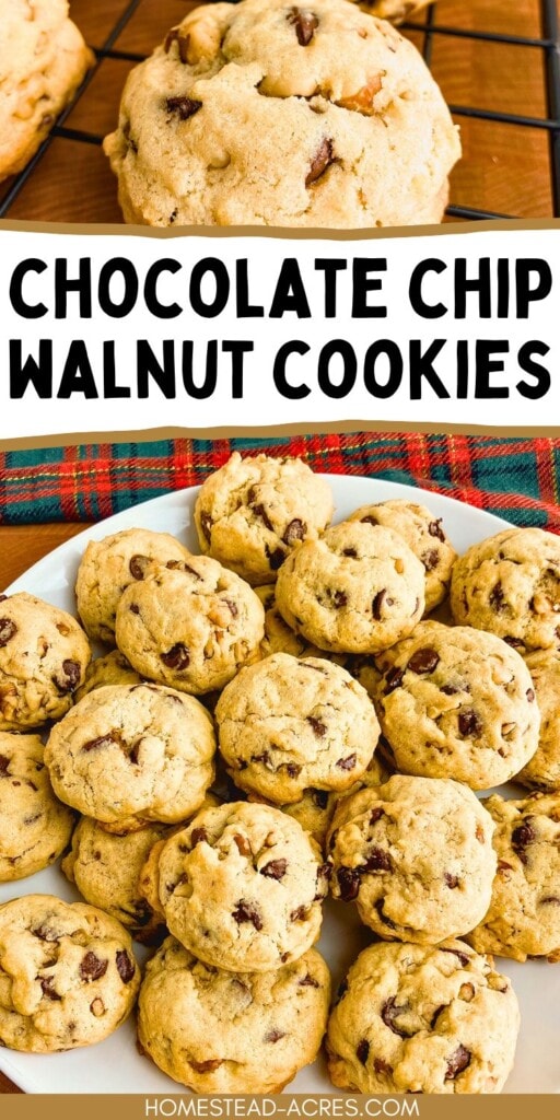A collage of chocolate chip cookies on a cooling rack and platter. The text overlay says Chocolate Chip Walnut Cookies.
