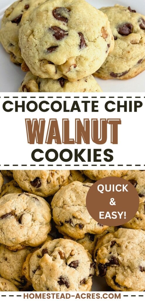 A collage of chocolate chip cookies on a plate and platter. The text overlay says Chocolate Chip Walnut Cookies Quick And Easy.