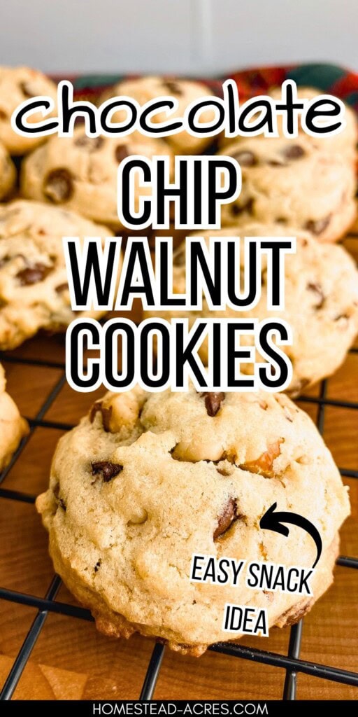 Warm chocolate chip cookies on a wire cooling rack. The text overlay says Chocolate Chip Walnut Cookies. Easy Snack Idea.