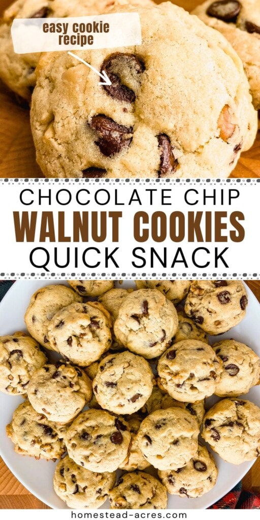 A collage of chocolate chip cookies on a platter and a wooden table. The text overlay says Chocolate Chip Walnut Cookies Quick Snack. Easy Cookie Recipe.