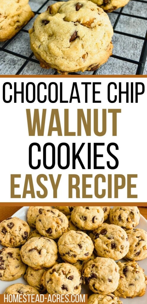 A collage of chocolate chip cookies on a platter and cooling rack. The text overlay says Chocolate Chip Walnut Cookies Easy Recipe.