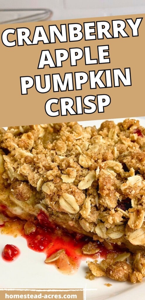 A slice of homemade crisp on a white plate. The text overlay says Cranberry Apple Pumpkin Crisp.