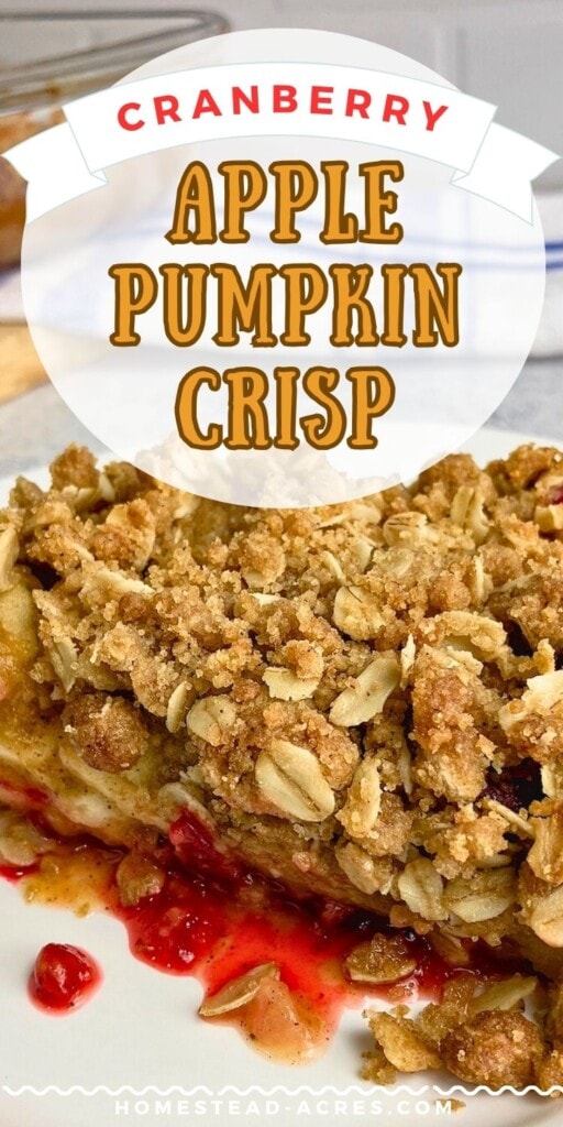 A slice of crisp on a white plate. The text overlay says Cranberry Apple Pumpkin Crisp.