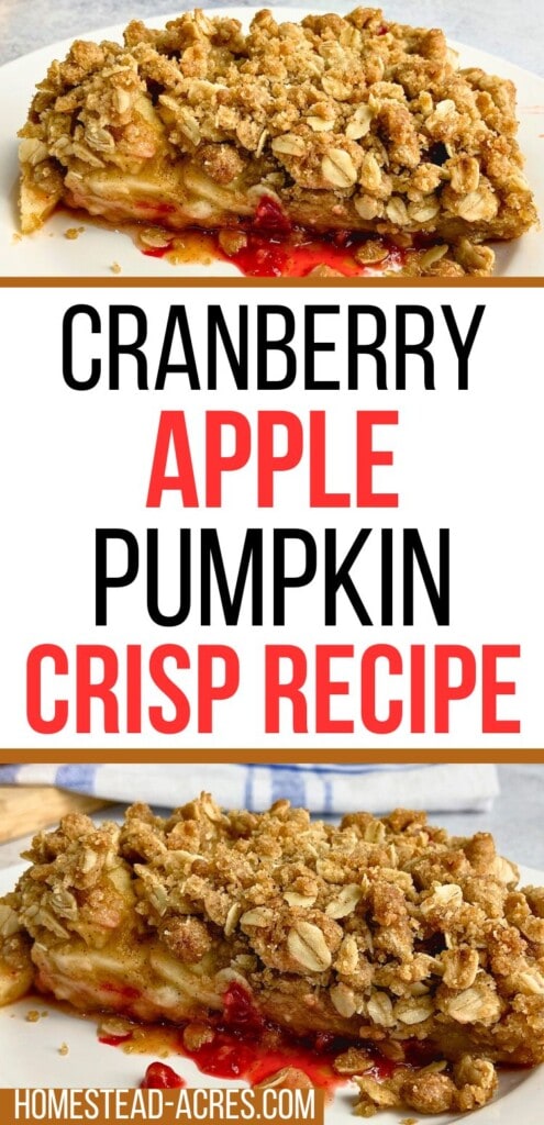 A collage of slices of homemade crisp on white plates. The text overlay says Cranberry Apple Pumpkin Crisp Recipe.