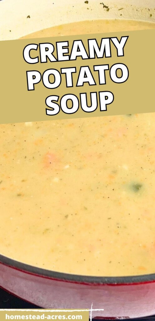 A large red pot filled with homemade potato soup. The text overlay says Creamy Potato Soup.