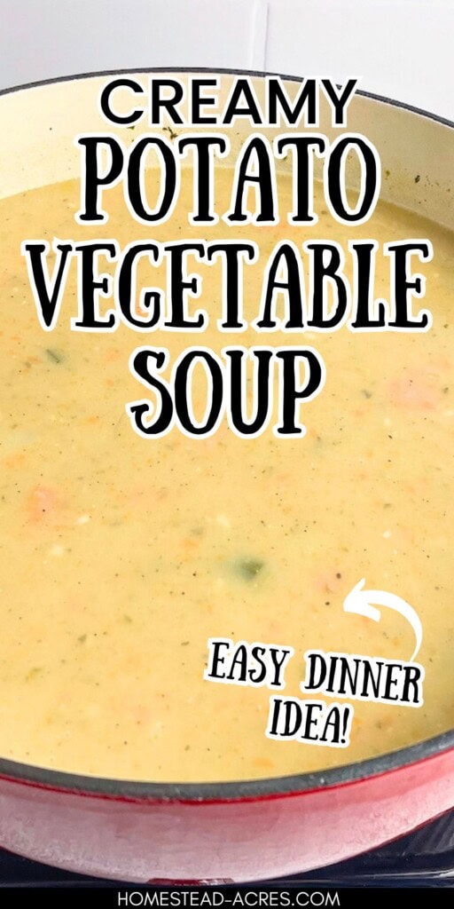 A large red dutch oven filled with homemade potato soup. The text overlay says Creamy Potato Vegetable Soup. Easy Dinner Idea.