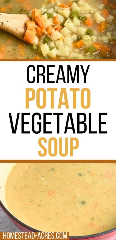 A collage of a spoon lifting carrots, celery, and potatoes out of a pot of soup and a cream potato soup. The text overlay says Creamy Potato Vegetable Soup.