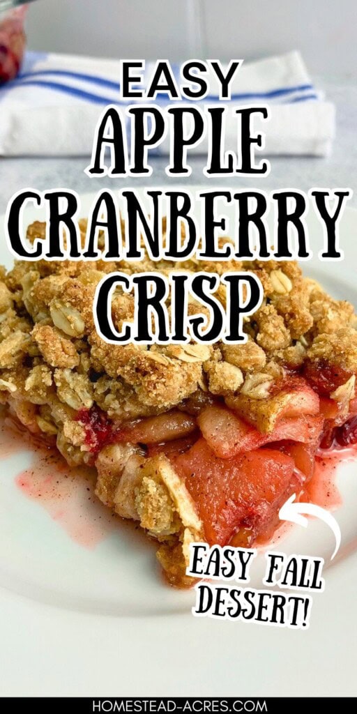 A slice of crisp on a white plate. The text overlay says Easy Apple Cranberry Crisp. Easy Fall Dessert.