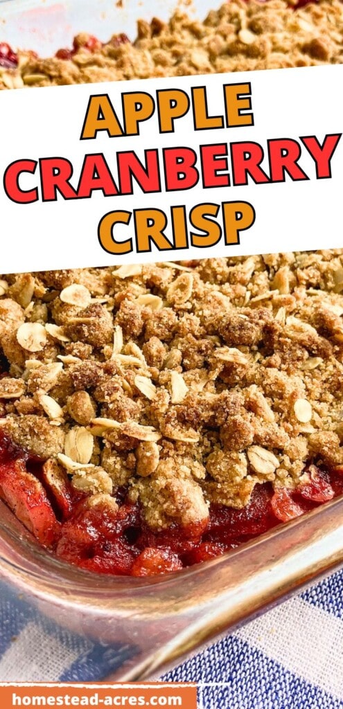 A baking dish of homemade crisp. The text overlay says Apple Cranberry Crisp.