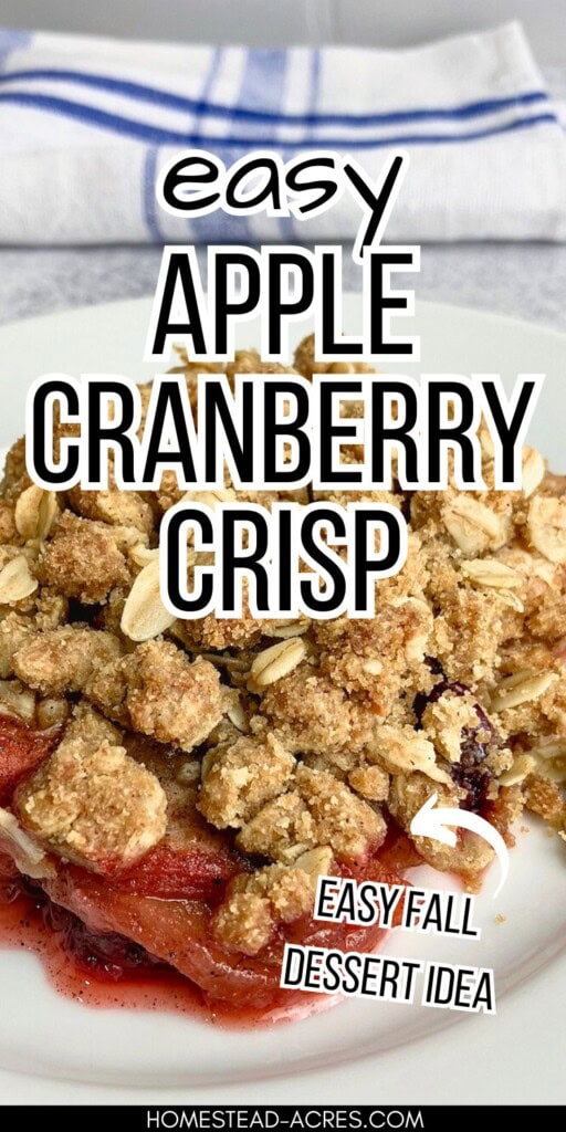 A slice of homemade crisp on a white plate. The text overlay says Easy Apple Cranberry Crisp. Easy Fall Dessert Idea.