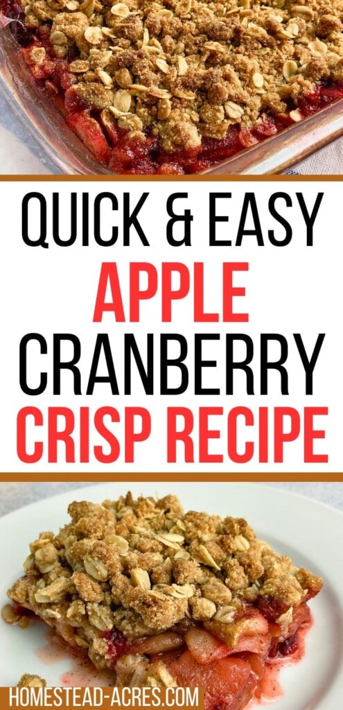 A collage of cranberry apple crisp in a baking dish and a slice on a plate. The text overlay says Quick And Easy Apple Cranberry Crisp Recipe.