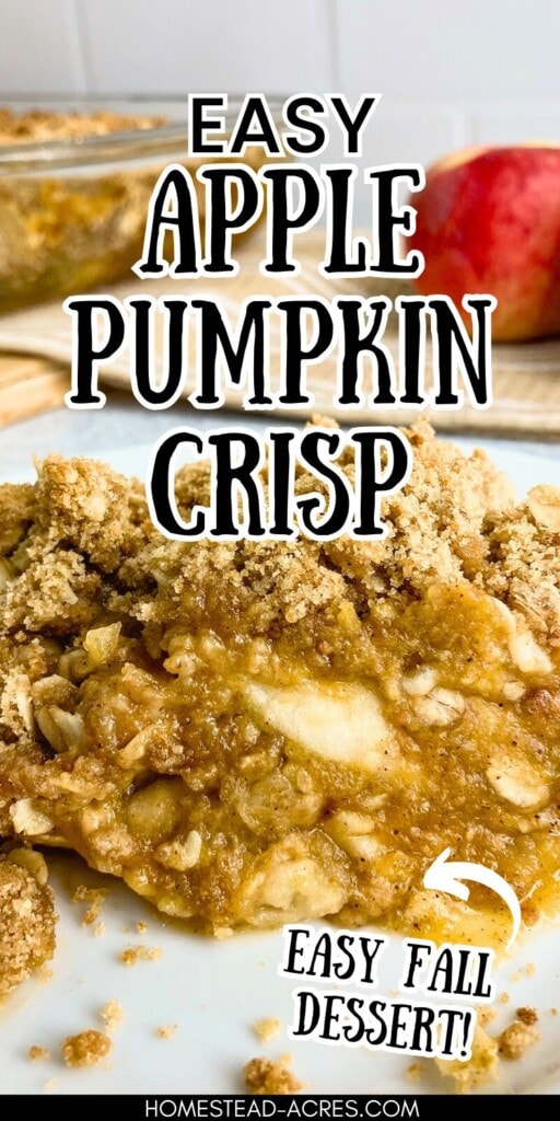 Homemade pumpkin apple crisp on a plate with a baking dish and apples in the background. The text overlay says Easy Apple Pumpkin Crisp. Easy Fall Dessert!