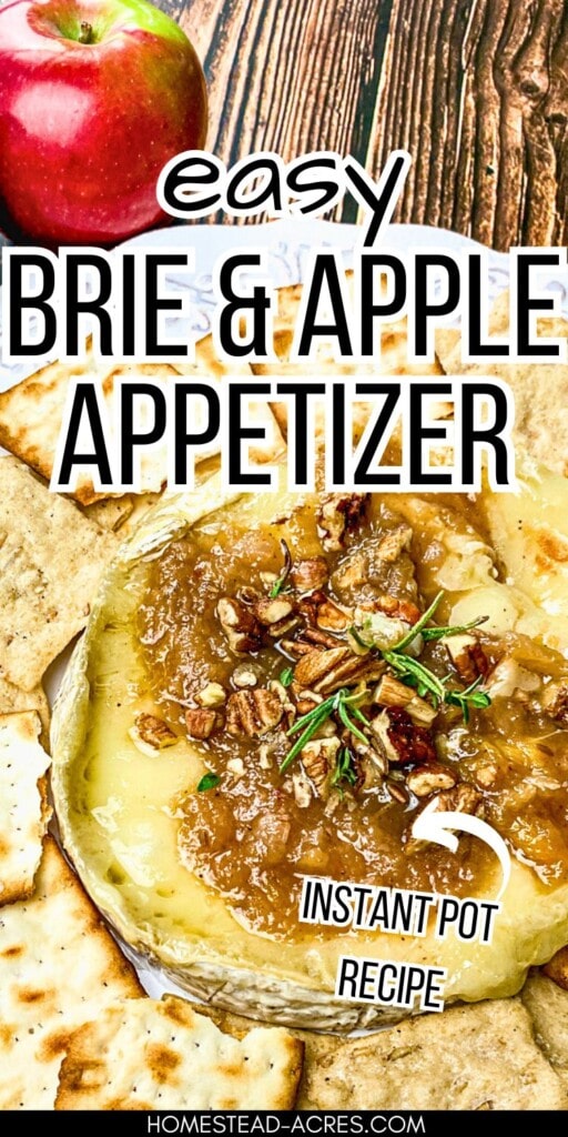 Baked brie and apples with pecans on a platter with crackers. The text overlay says Easy Brie And Apple Appetizer Instant Pot Recipe.