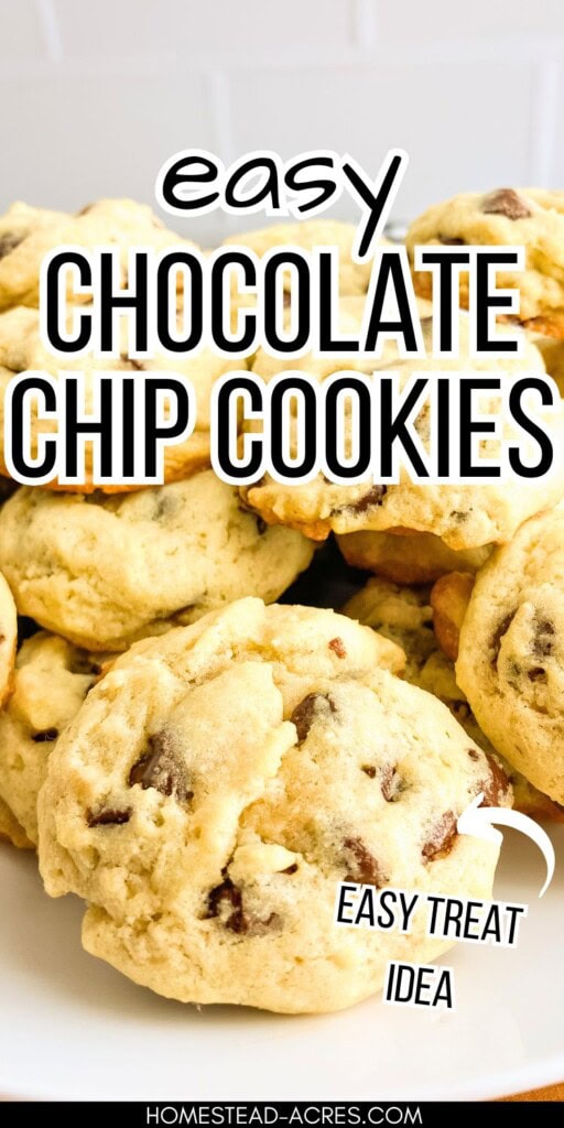 Homemade chocolate chip cookies on a white platter. The text overlay says Easy Chocolate Chip Cookies Easy Treat Idea.