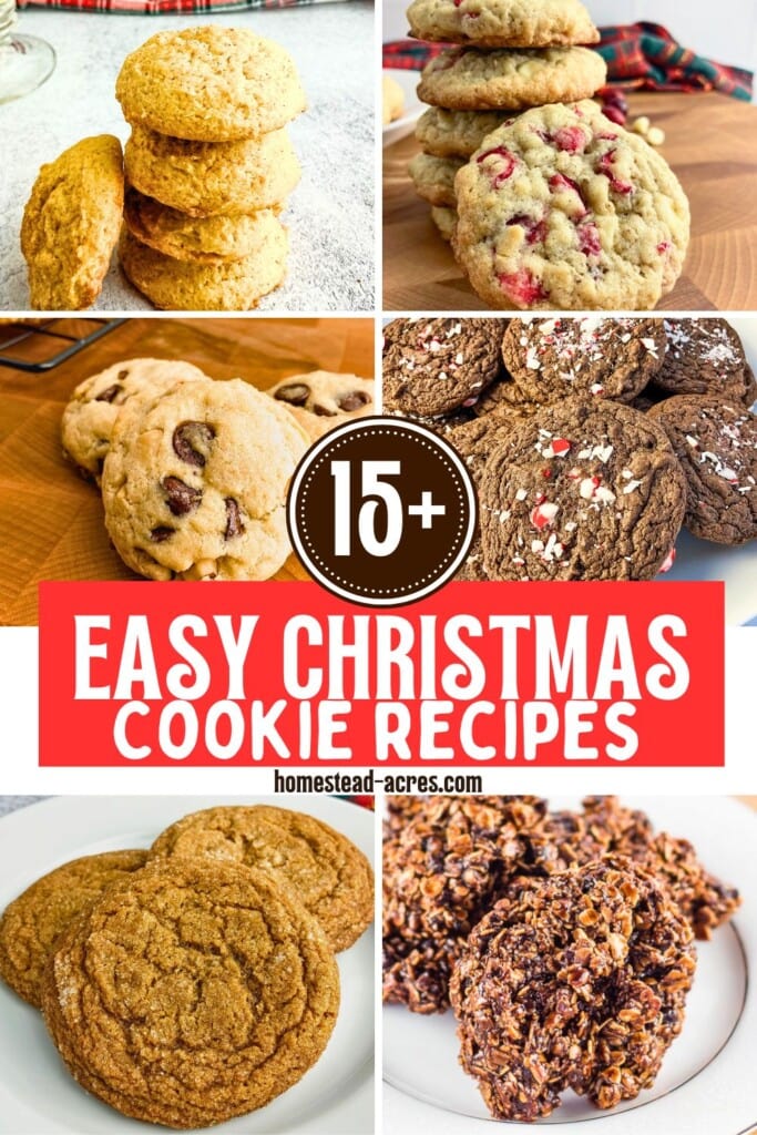 A collage of six different holiday cookies. The text overlay says 15+ Easy Christmas Cookie Recipes.