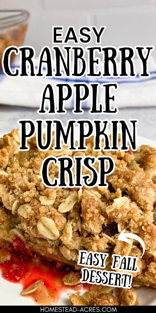 A slice of apple cranberry pumpkin crisp on a white plate with a baking dish in the background. The text overlay says Easy Cranberry Apple Pumpkin Crisp. Easy Fall Dessert.
