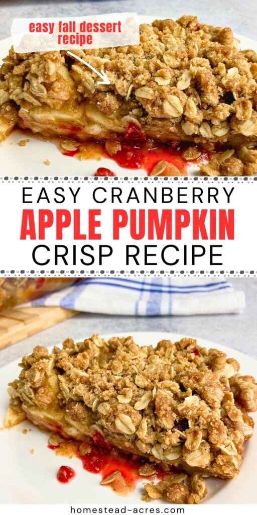 A collage of slices of apple cranberry pumpkin crisp on white plates. The text overlay says Easy Cranberry Apple Pumpkin Crisp Recipe. Easy Fall Dessert Recipe.