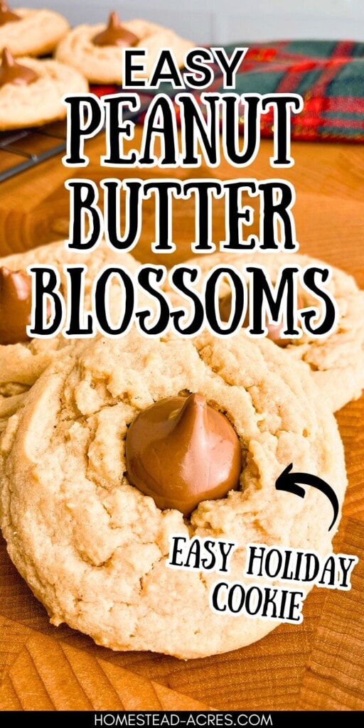 Homemade peanut blossom cookies on a wooden table. The text overlay says Easy Peanut Butter Blossoms Easy Holiday Cookie.