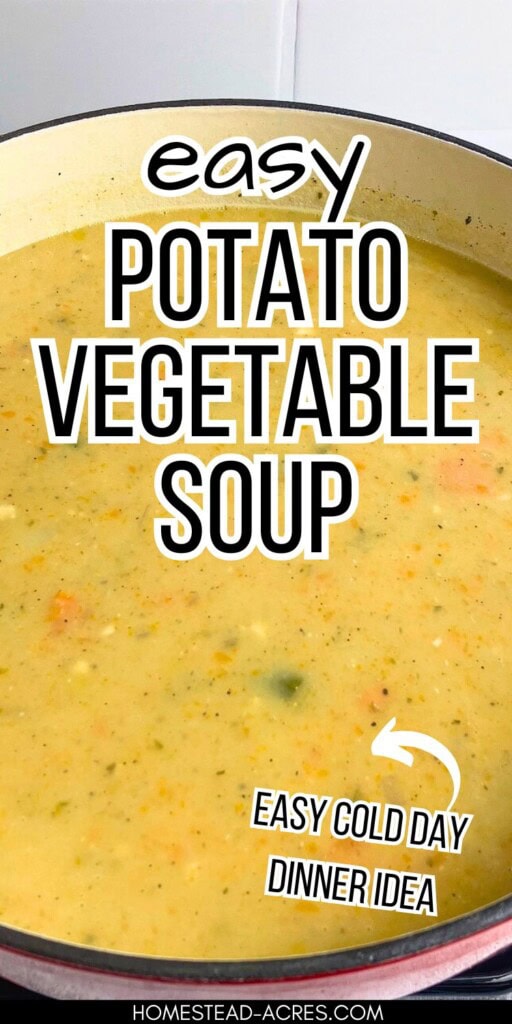 A big pot of homemade potato soup. The text overlay says Easy Potato Vegetable Soup. Easy Cold Day Dinner Idea.