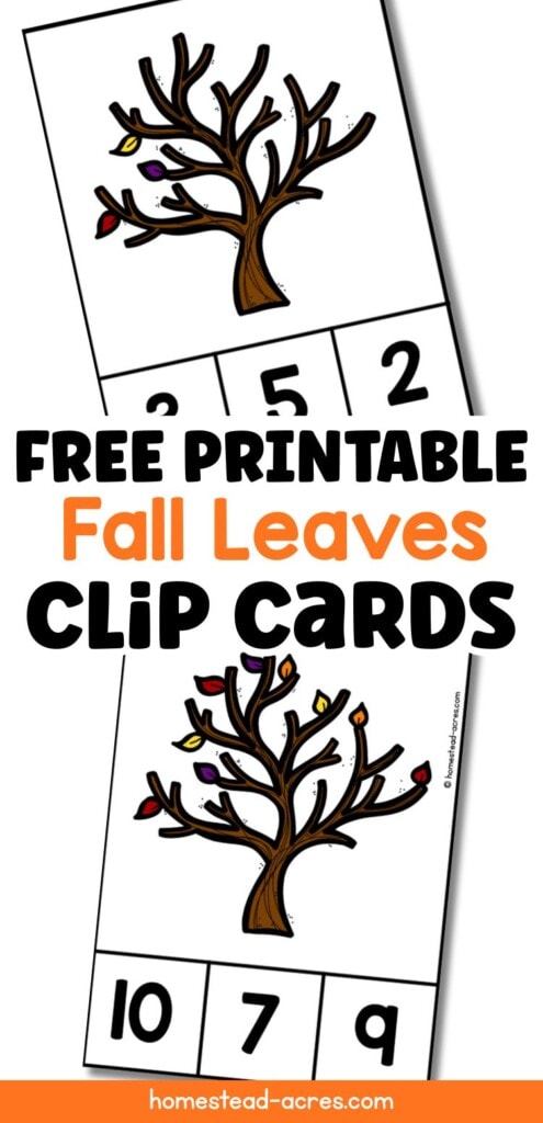 A collage image of trees with pretty fall leaves. The text overlay says Free Printable Fall Leaves Clip Cards.
