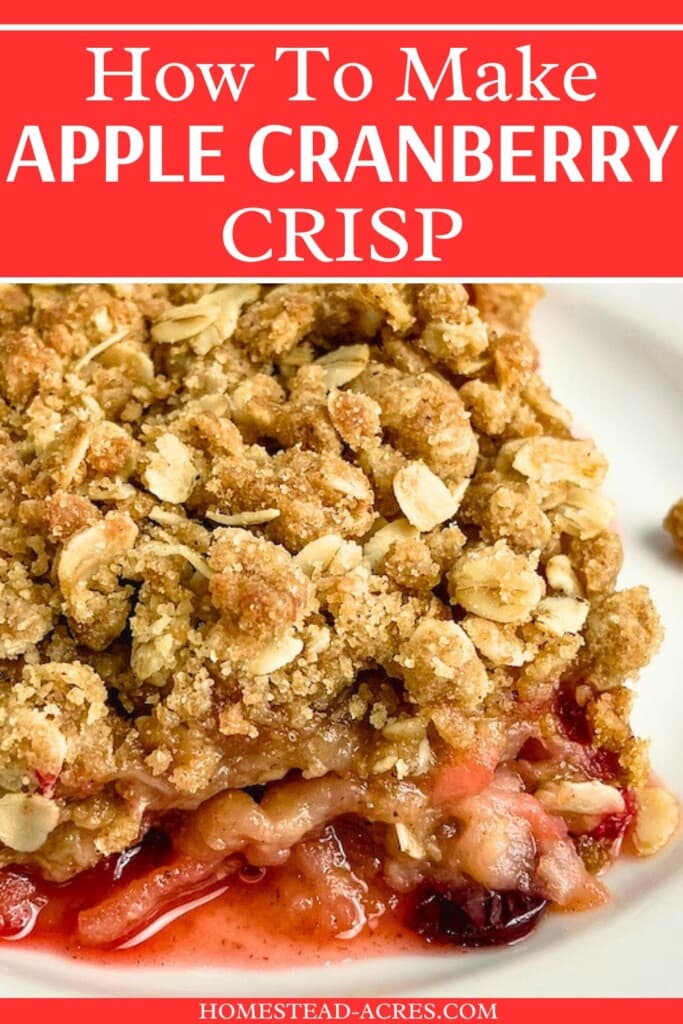 A slice of homemade crisp on a white plate. The text overlay says How To Make Apple Cranberry Crisp.