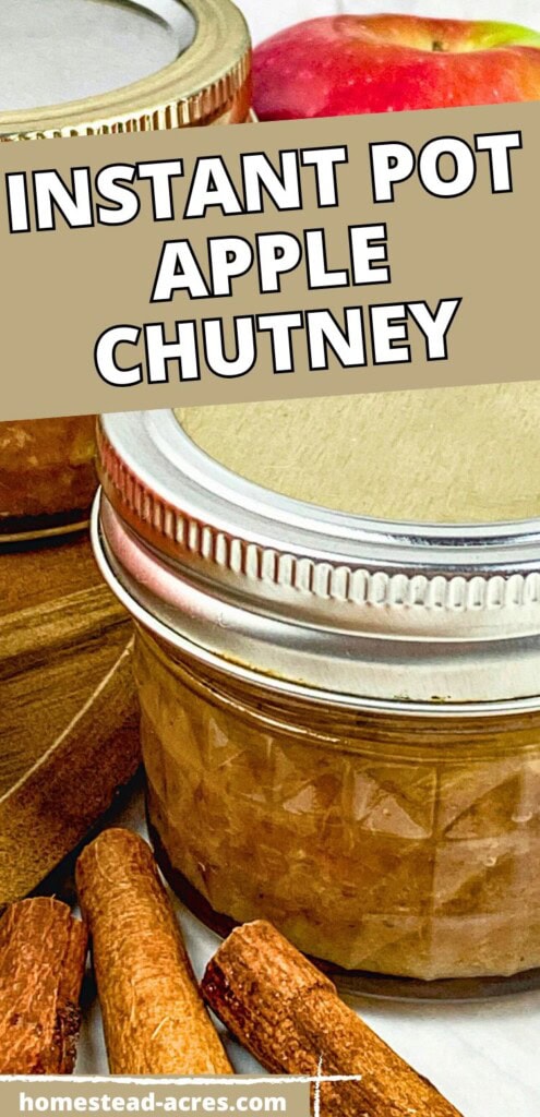 Small canning jars of spiced apple chutney next to cinnamon sticks. The text overlay says Instant Pot Apple Chutney.