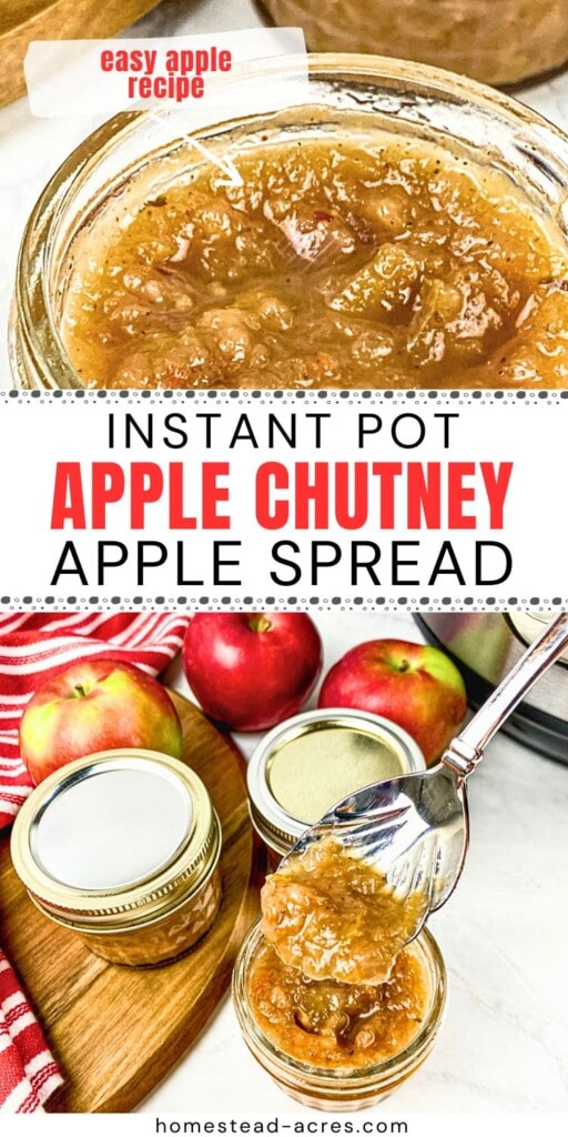 A collage of an open jar of apple chutney and a spoonful lifted up. The text overlay says Easy Apple Recipe. Instant Pot Apple Chutney Apple Spread.