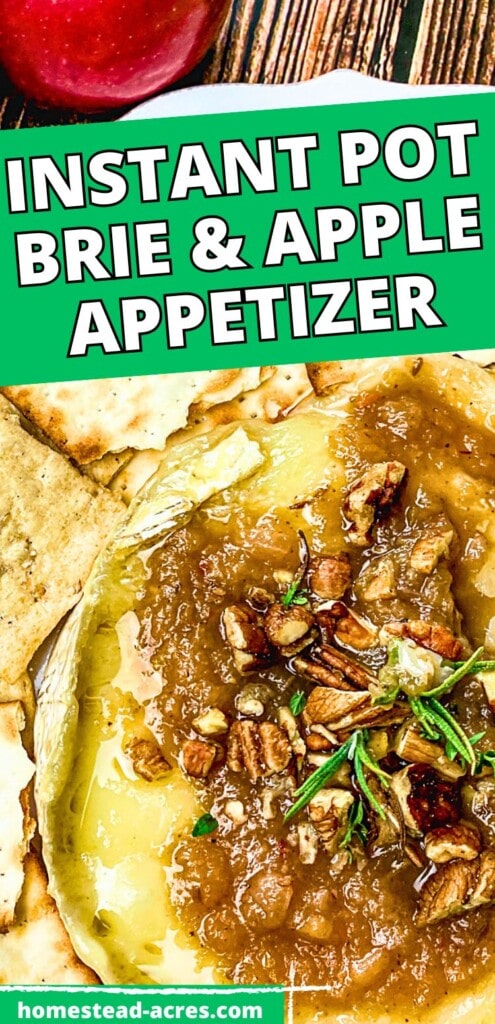 Baked brie with apple and pecan topping on a serving tray with crackers. The text overlay says Instant Pot Brie And Apple Appetizer.