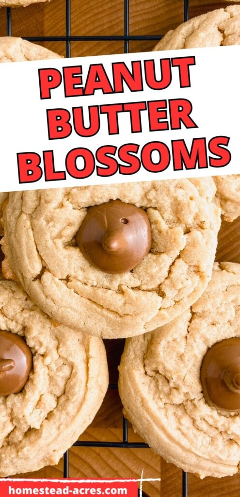 Peanut butter chocolate cookies on a cooling rack. The text overlay says Peanut Butter Blossoms.