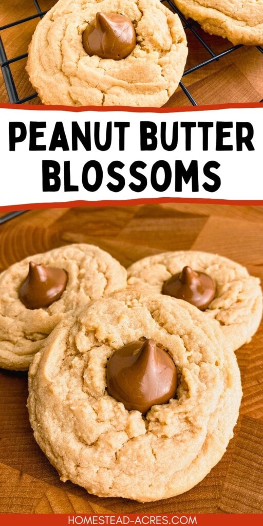 A collage of peanut butter blossom cookies on a cooling rack and wooden board. The text overlay says Peanut Butter Blossoms.
