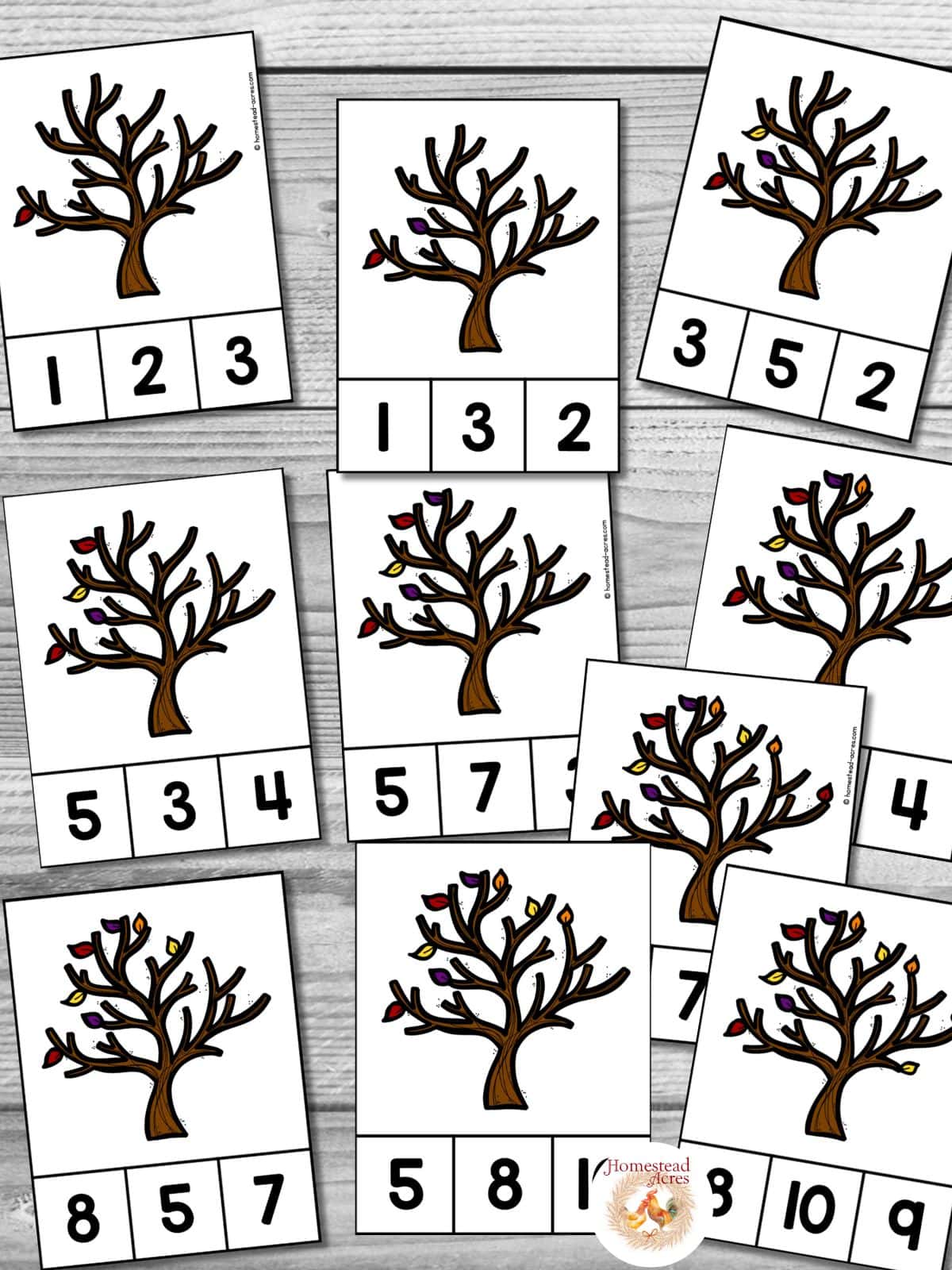 Sample fall leaves counting cards for numbers 1 to 10 on a wooden table background.