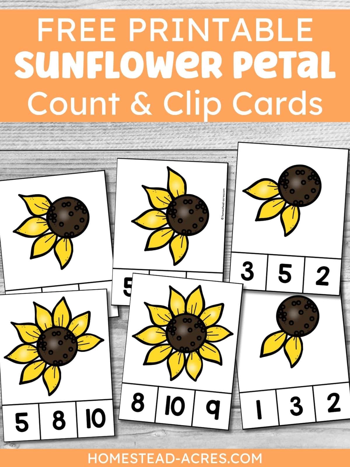A collage of sample images of sunflower math cards. The text overlay says Free Printable Sunflower Petal Count And Clip Cards.