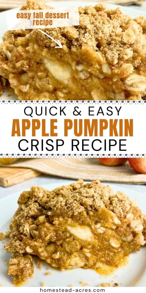 A collage of pumpkin apple crisp slices on a white plate. The text overlay says Quick And Easy Apple Pumpkin Crisp Recipe. Easy Fall Dessert Recipe.