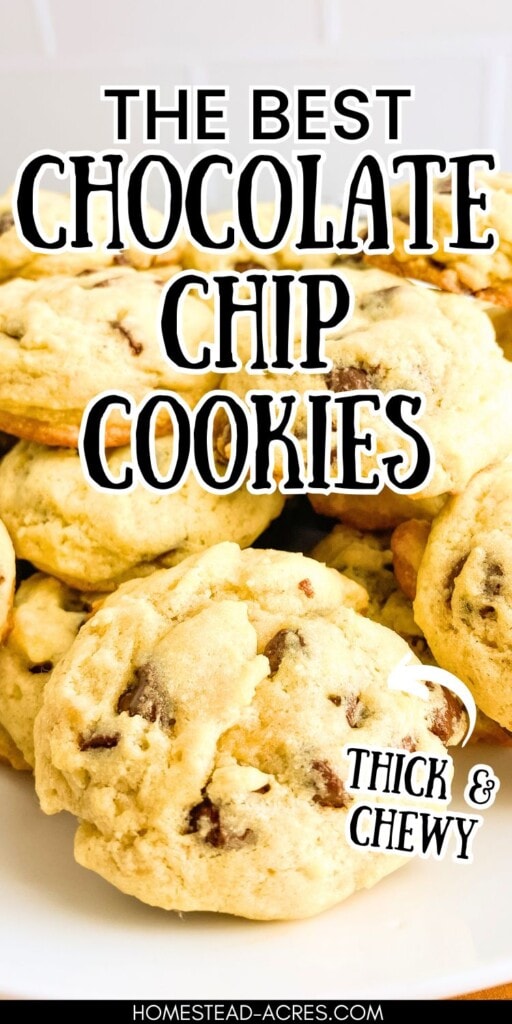Homemade chocolate chip cookies on a white platter. The text overlay says The Best Chocolate Chip Cookies Thick And Chewy.