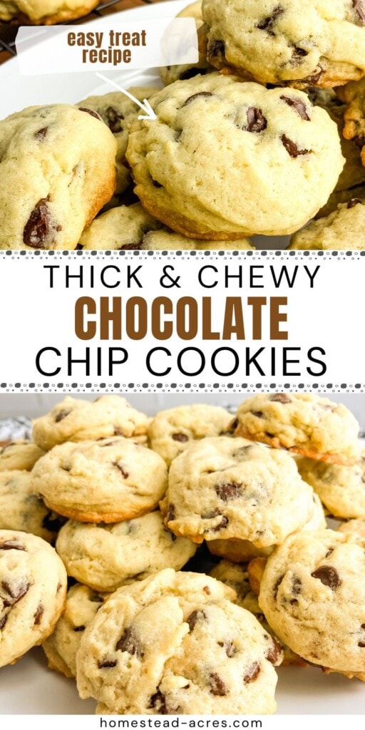 A collage of homemade chocolate chip cookies on a white plate. The text overlay says Thick And Chewy Chocolate Chip Cookies. Easy Treat Recipe.