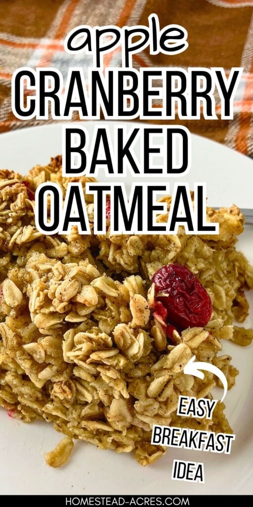 A slice of homemade baked oatmeal with apples and cranberries on a plate. The text overlay says Apple Cranberry Baked Oatmeal Easy Breakfast Idea.