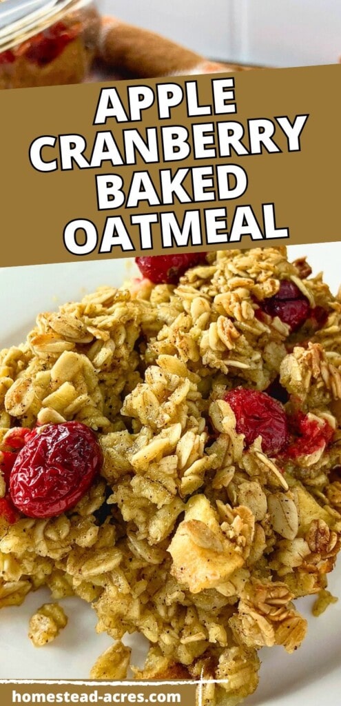 A slice of baked oatmeal with apples and cranberries on a plate. The text overlay says Apple Cranberry Baked Oatmeal.