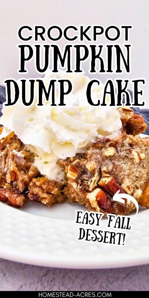 A slice of pumpkin cake on a white plate. The text overlay says Crockpot Pumpkin Dump Cake Easy Fall Dessert.
