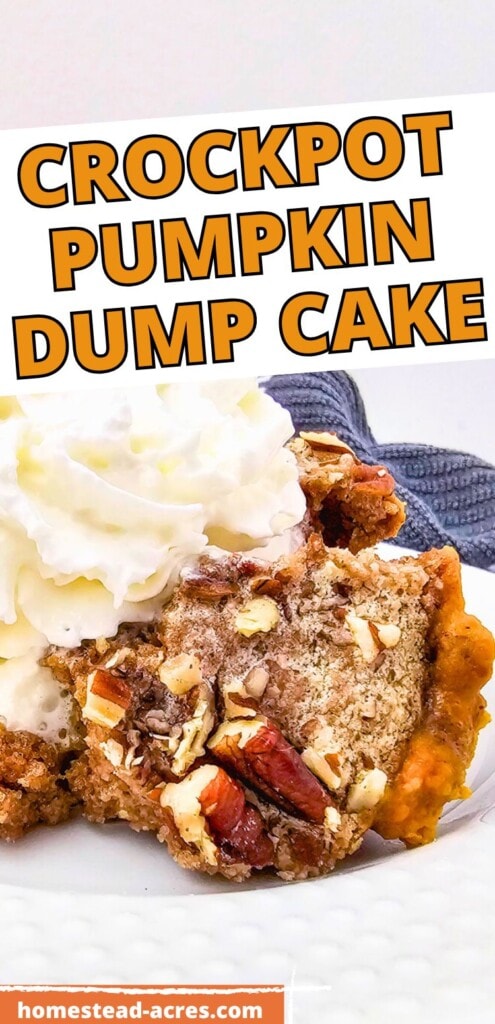 A slice of pumpkin cake on a white plate. The text overlay says Crockpot Pumpkin Dump Cake.